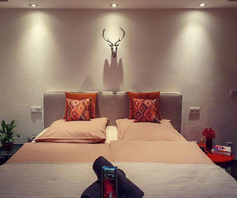 Familienfreundliche Wohnung Zwischen Koeln & Aachen Bergheim  Dış mekan fotoğraf